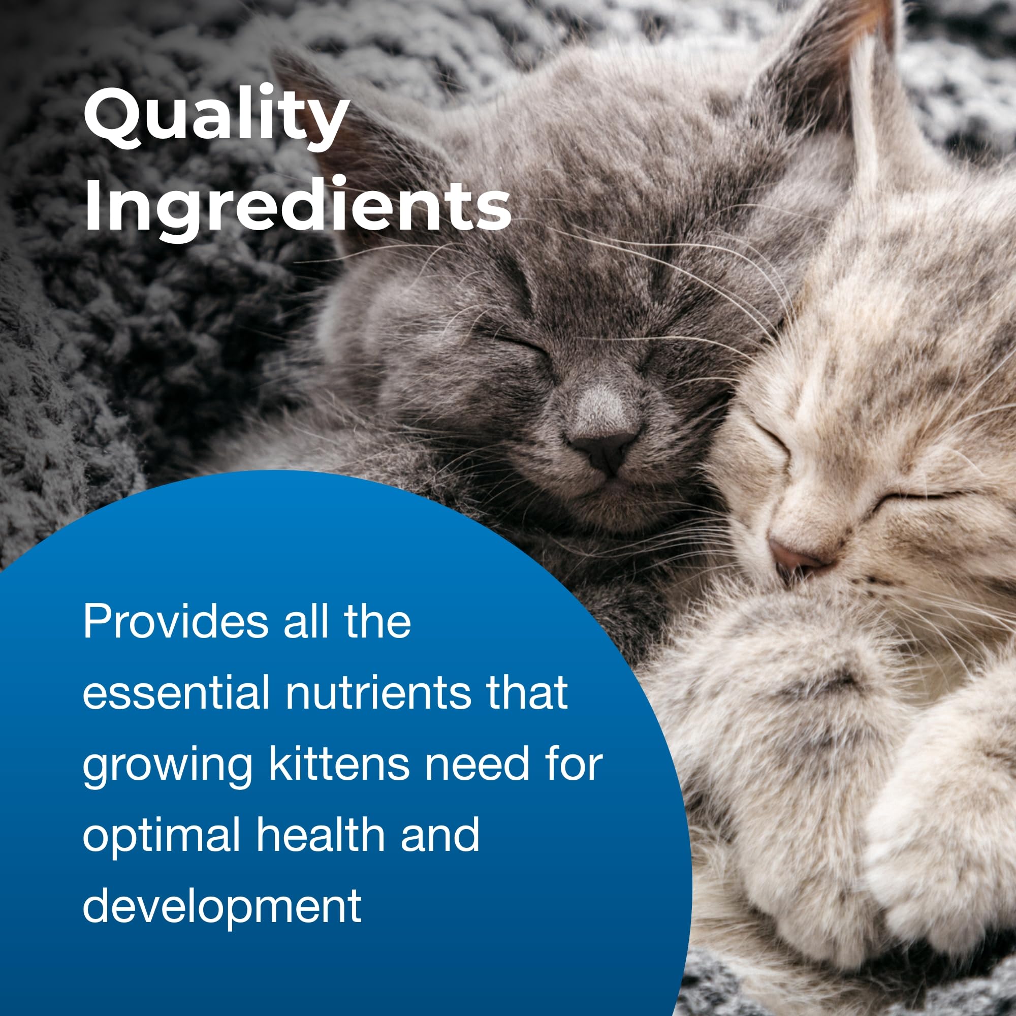 PetAg KMR prebiotics and probiotics benefit icon emphasizes digestive support.