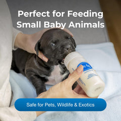 PetAg Nurser Bottle nipple closeup highlights latex-free design and natural-feeding action