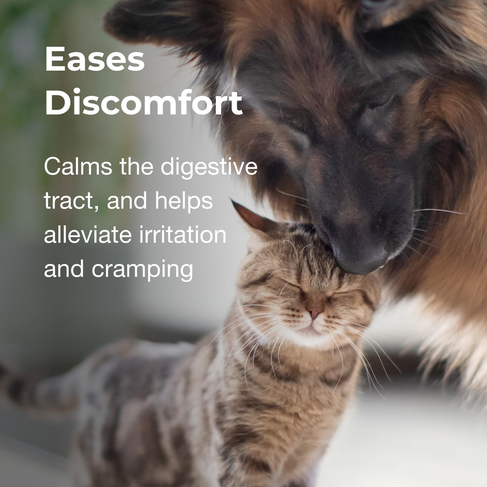 PetAg Pet Pectillin shake-before-use instruction image emphasizes proper dosing.