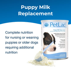 PetLac measuring spoon with powder for precise puppy nutrition.