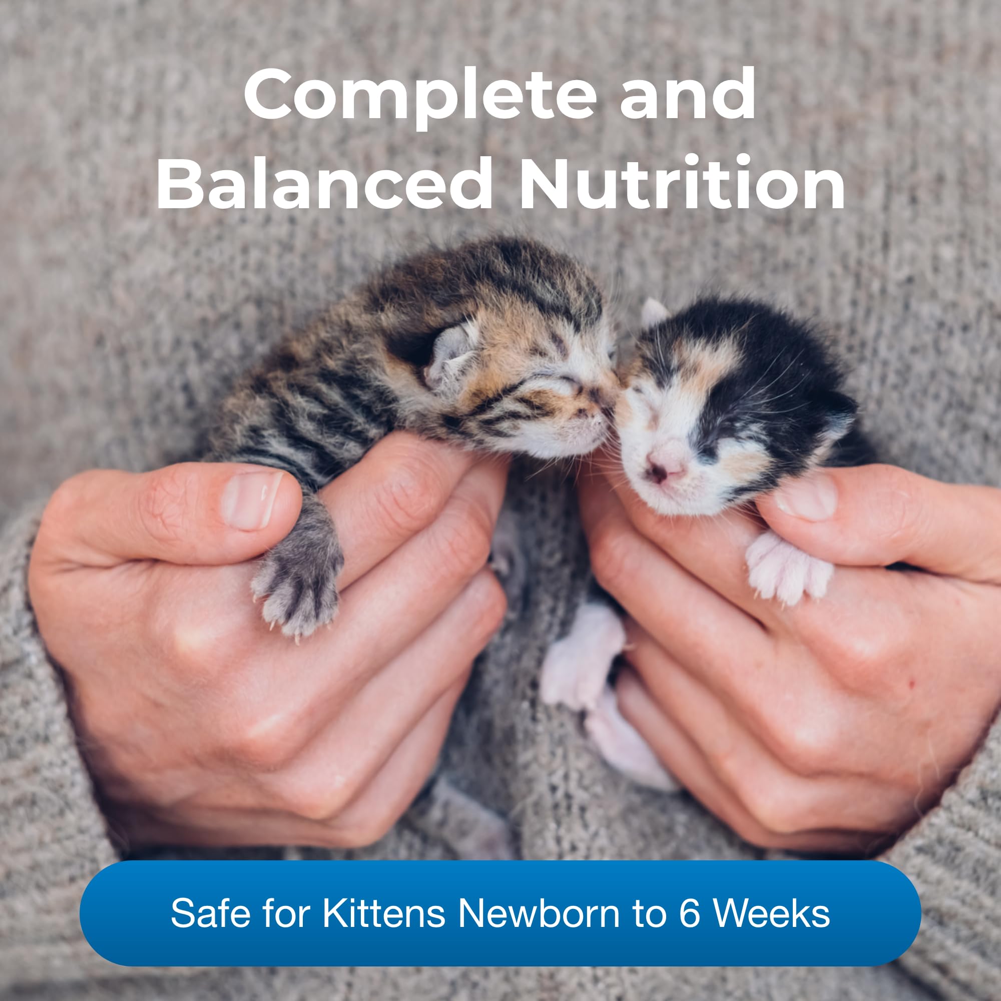 PetLac by PetAg mixed with warm water for kitten nourishment.