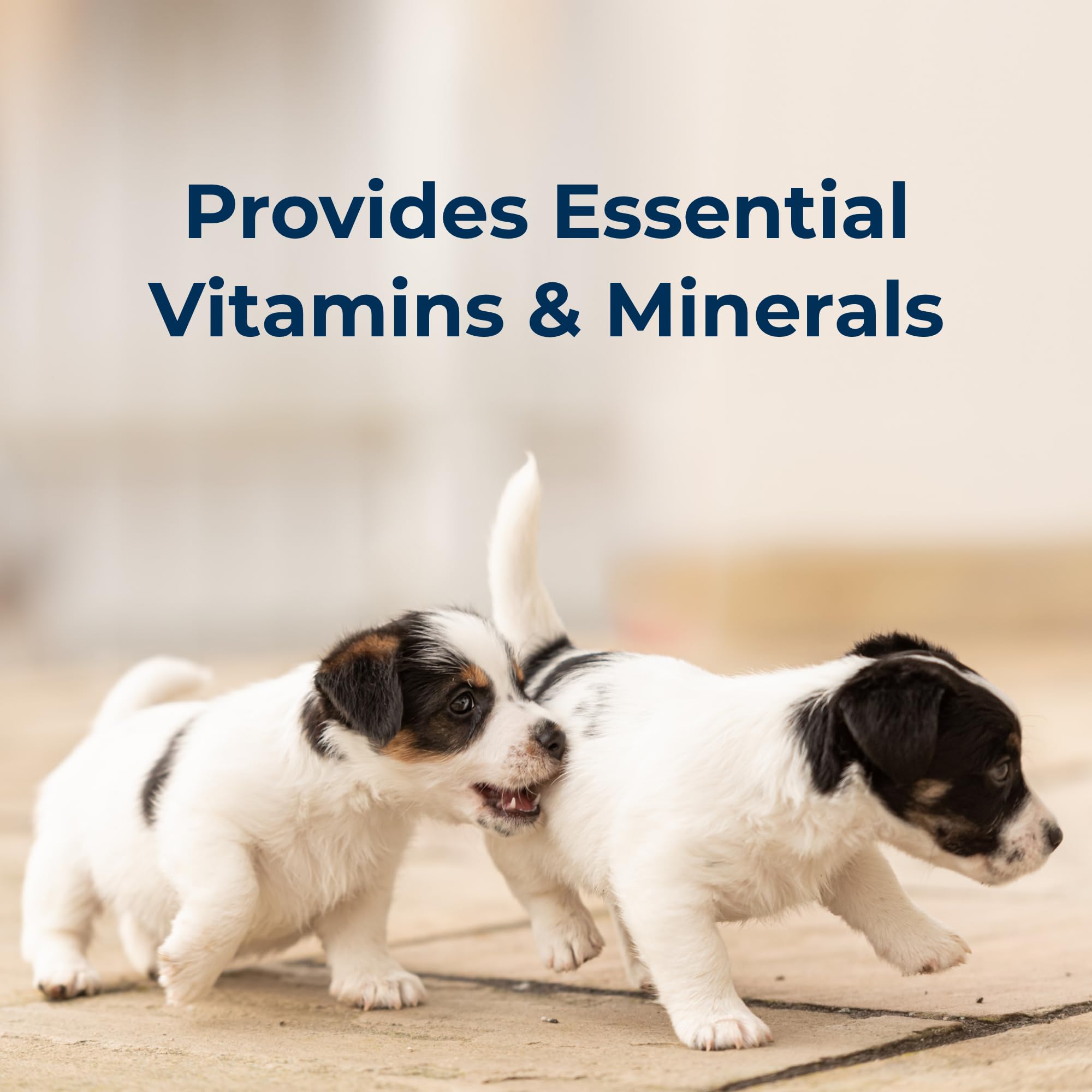 PetLac easy-digest formula highlighted by contented, thriving tiny puppies