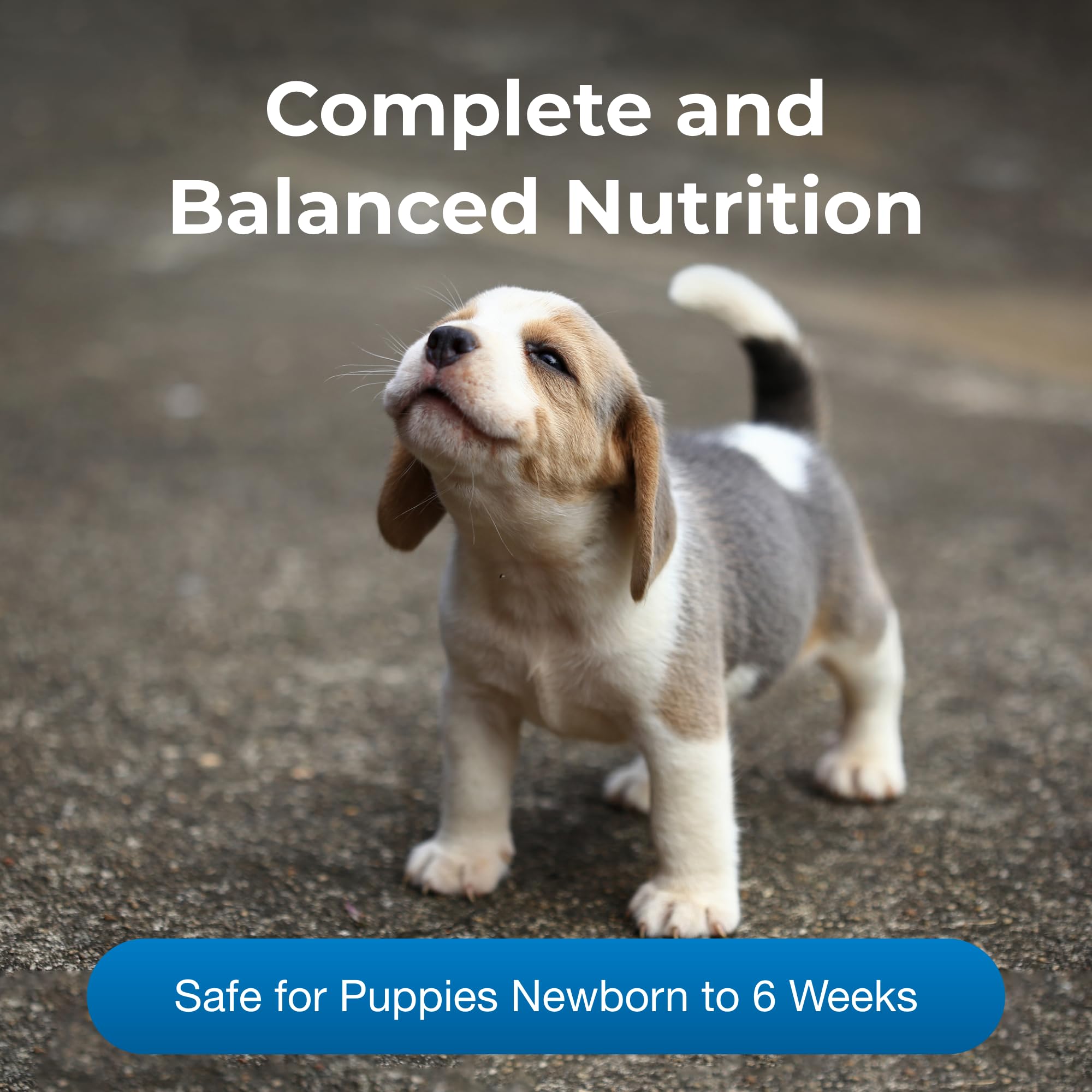 PetAg PetLac powder mixed with warm water supports easy digestion.
