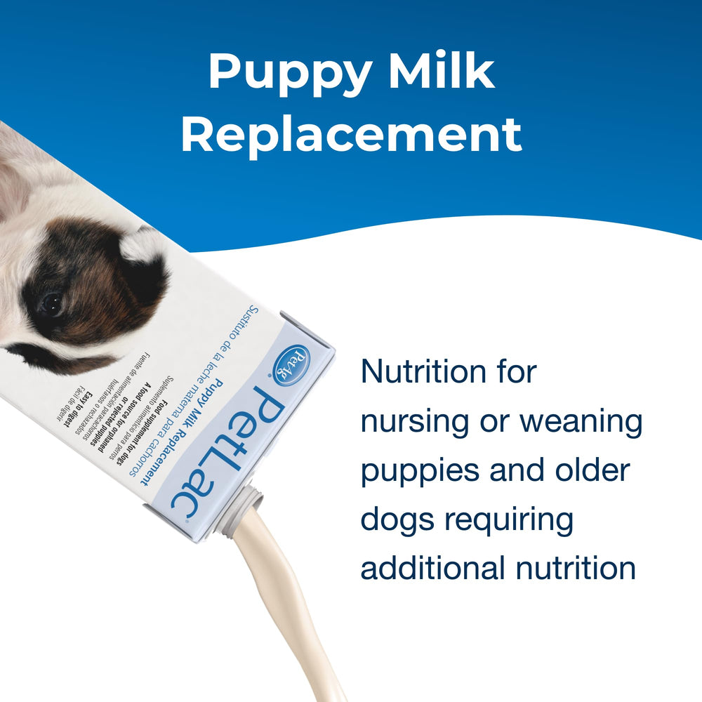 PetLac puppy-feeding session image highlighting ready-to-feed convenience for breeders