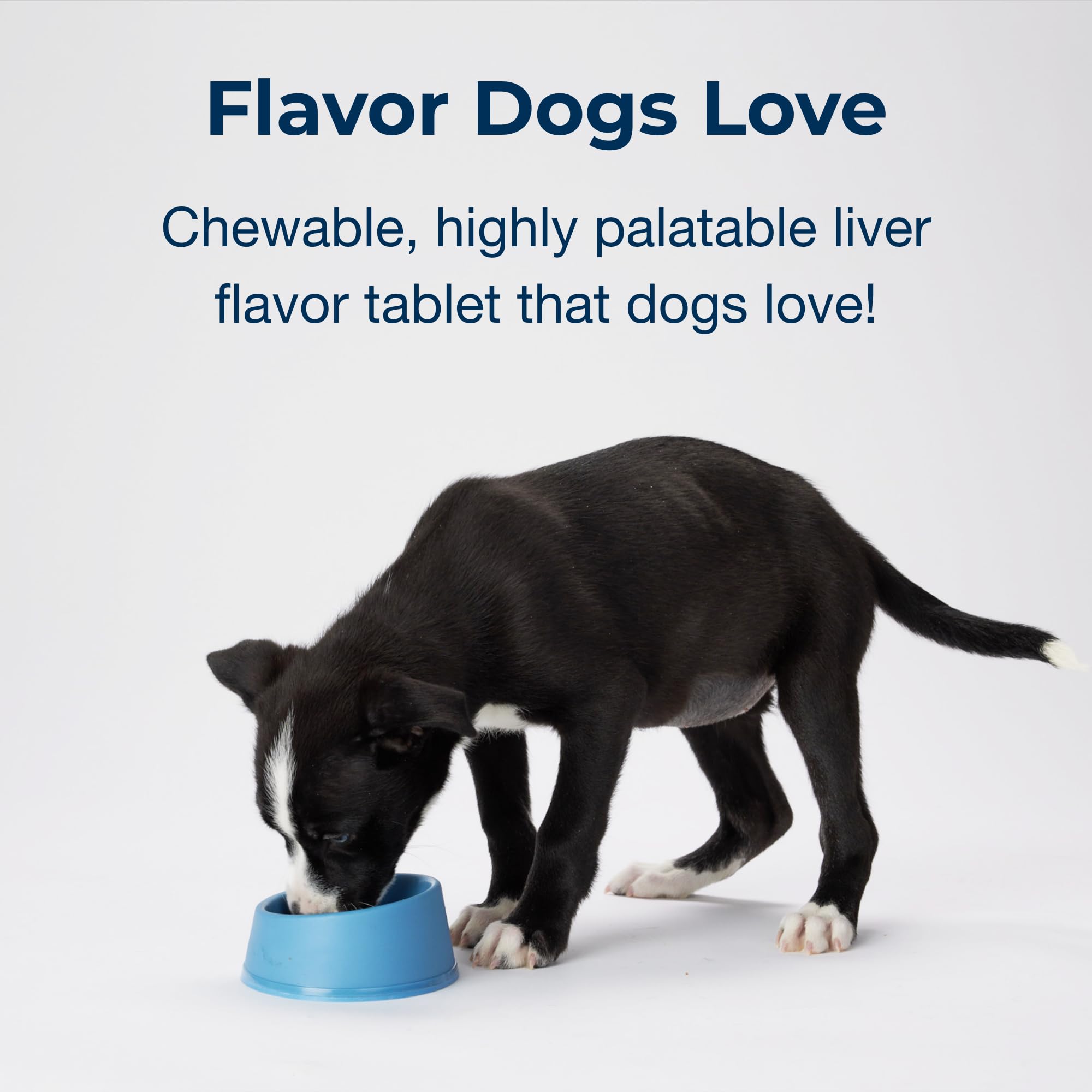 PetAg Sure Grow 100 puppy bone development concept visual