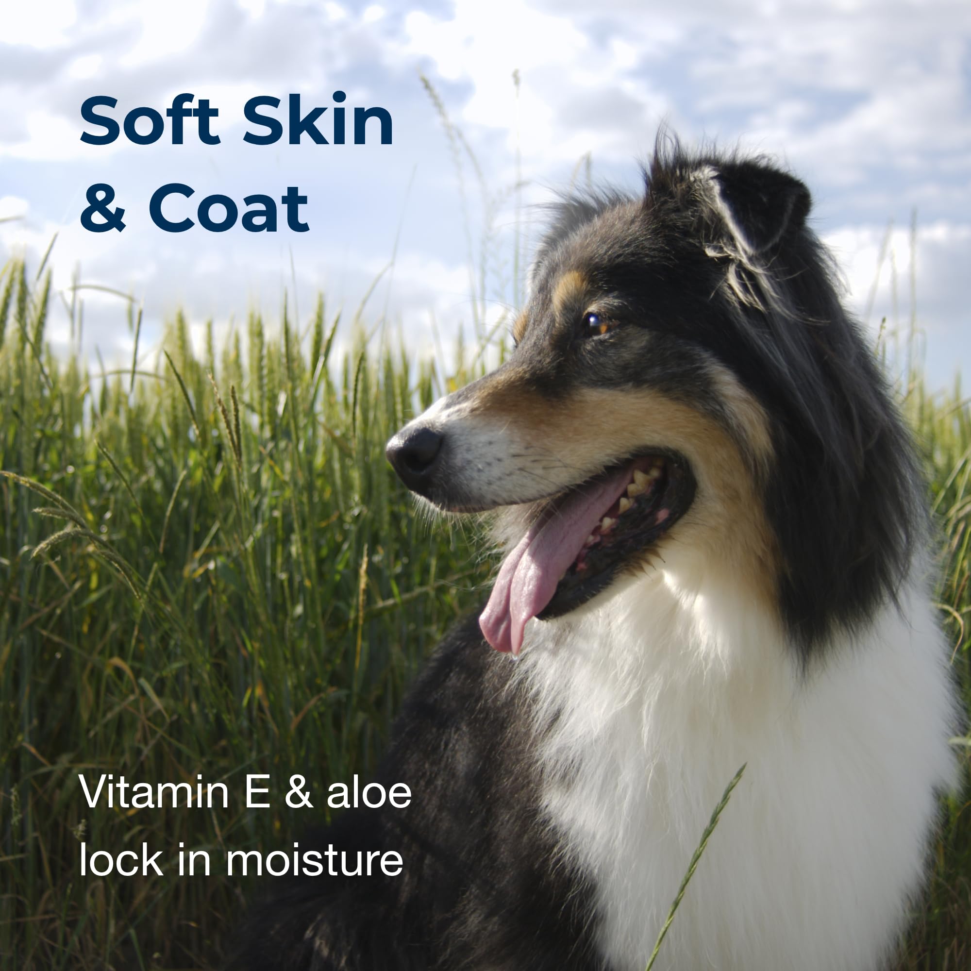 PetAg vitamin E Aloe soothing drops applied to dog skin during care.