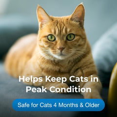PetAg Vitamin & Mineral Gel for Cats; jar closeup emphasizes rich, cat-friendly texture.