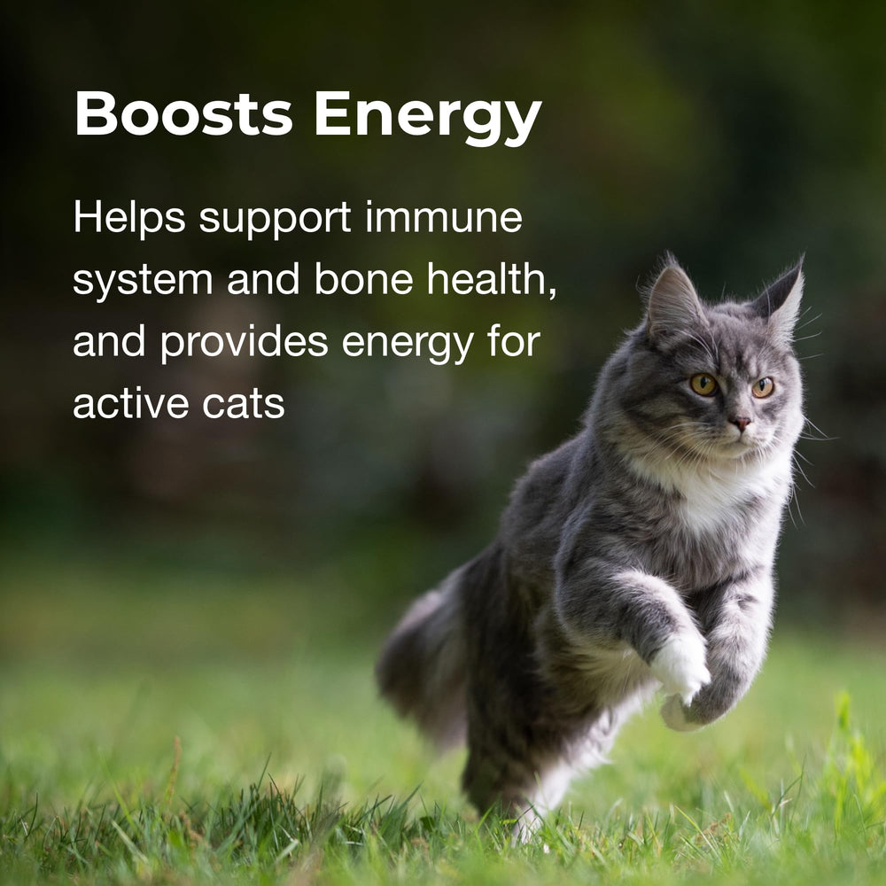 PetAg Vitamin & Mineral Gel for Cats; packaging display highlights two-pack convenience.