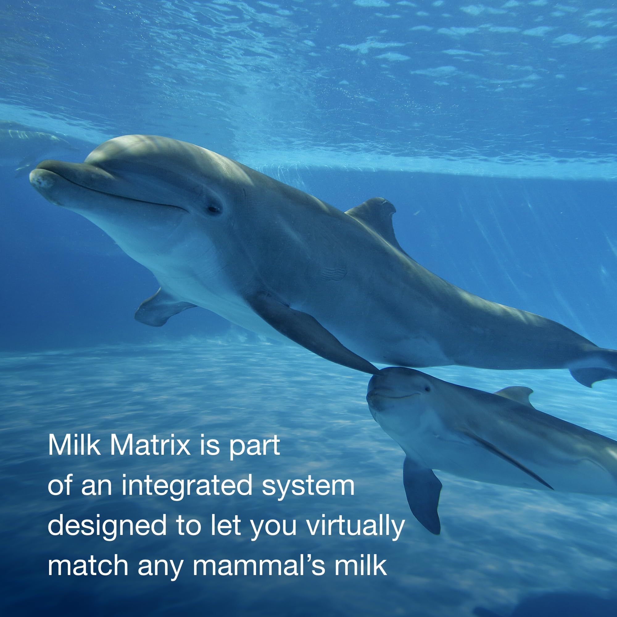PetAg Zoologic Milk Matrix 42/25 exotic-animal feeding supports nutrition in care.