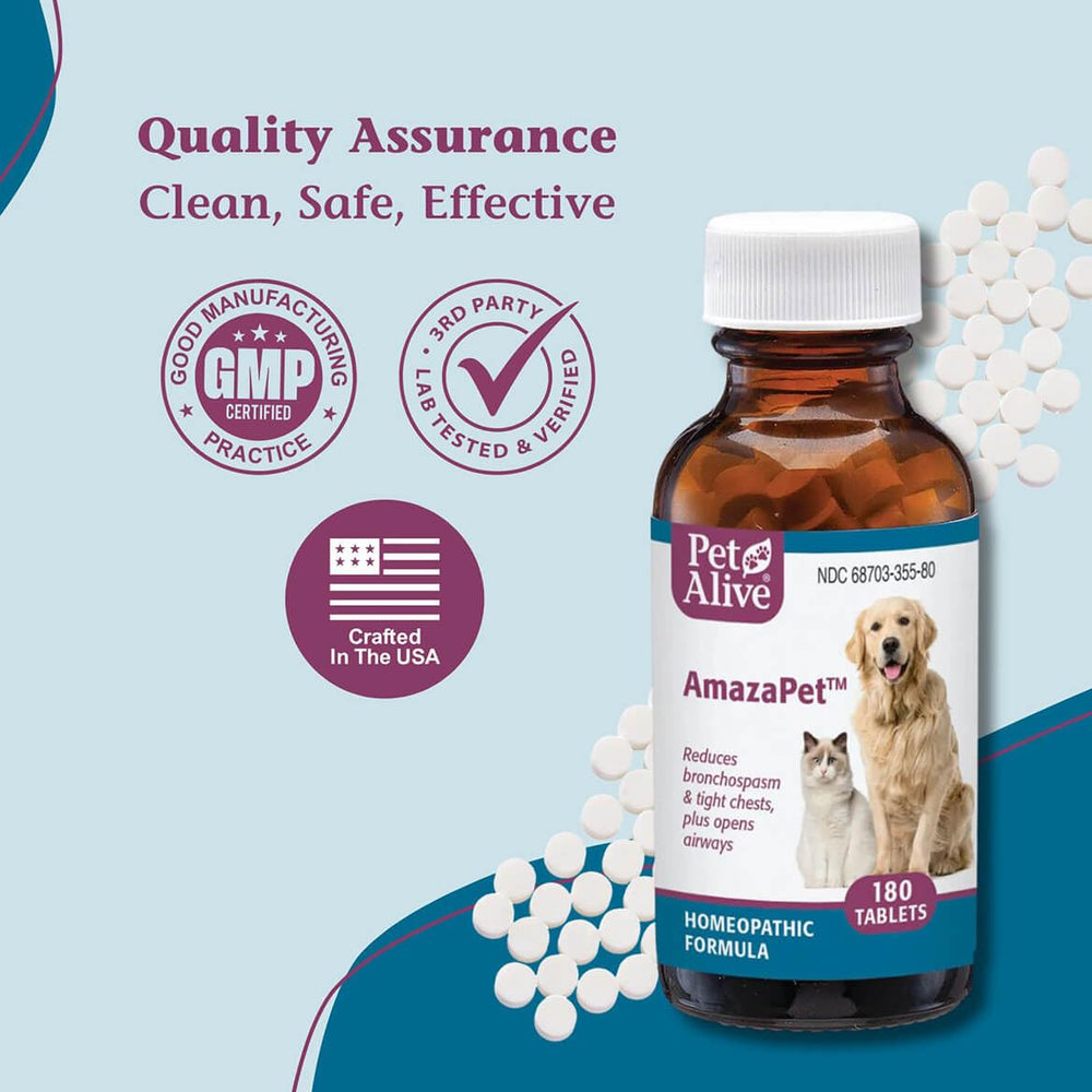 PetAlive AmazaPet in boarding and travel setup for support.
