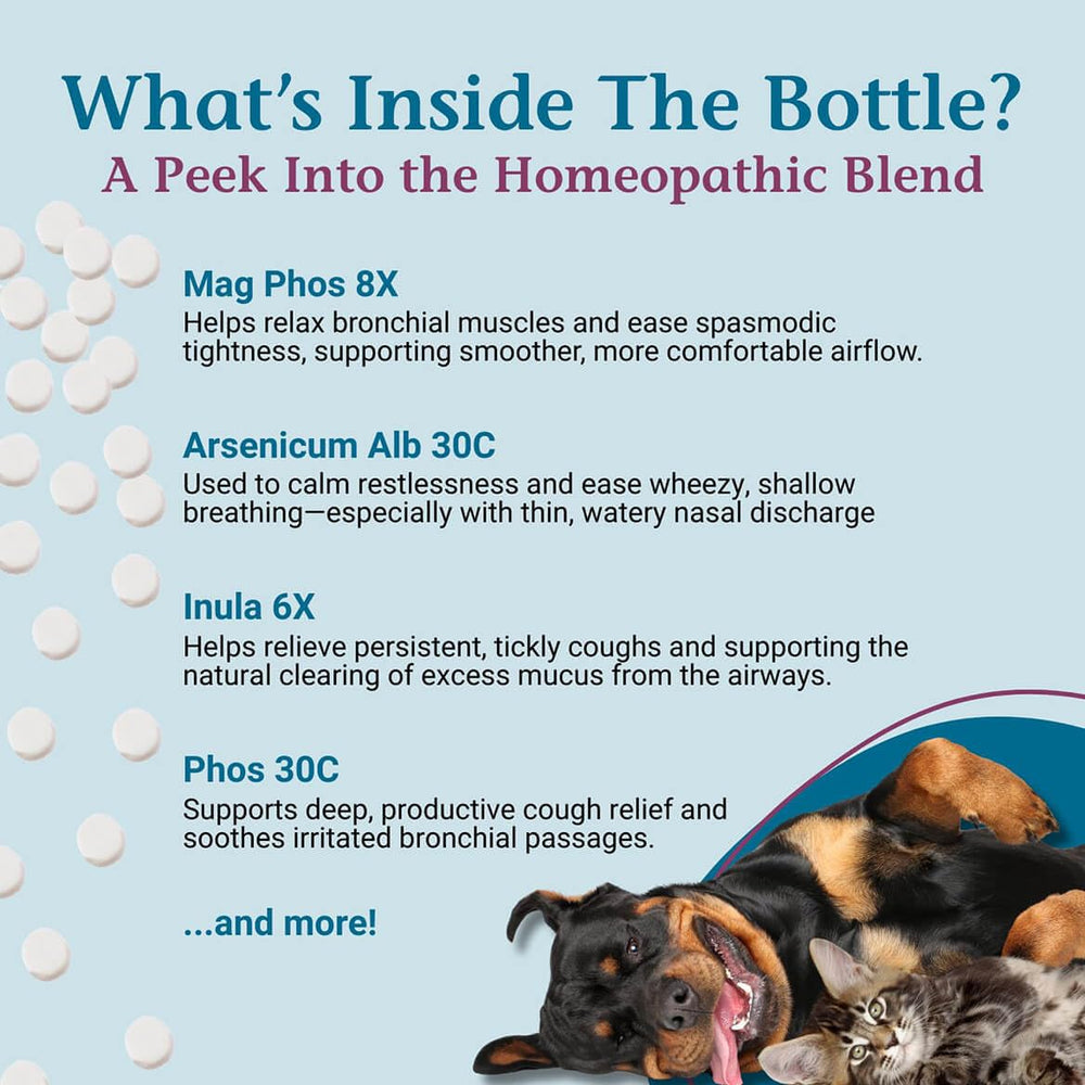 PetAlive AmazaPet cat breathing scene illustrating relaxed airway comfort.