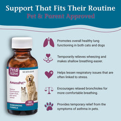 PetAlive AmazaPet dog use scene showing breathing-friendly routine.