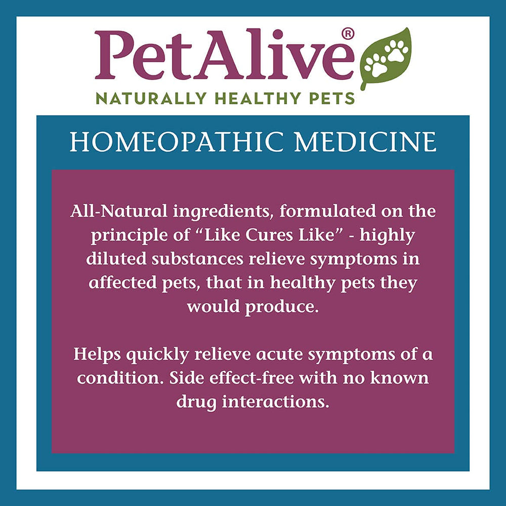 PetAlive AmazaPet packaging highlighting safety and FDA-registered manufacturing.