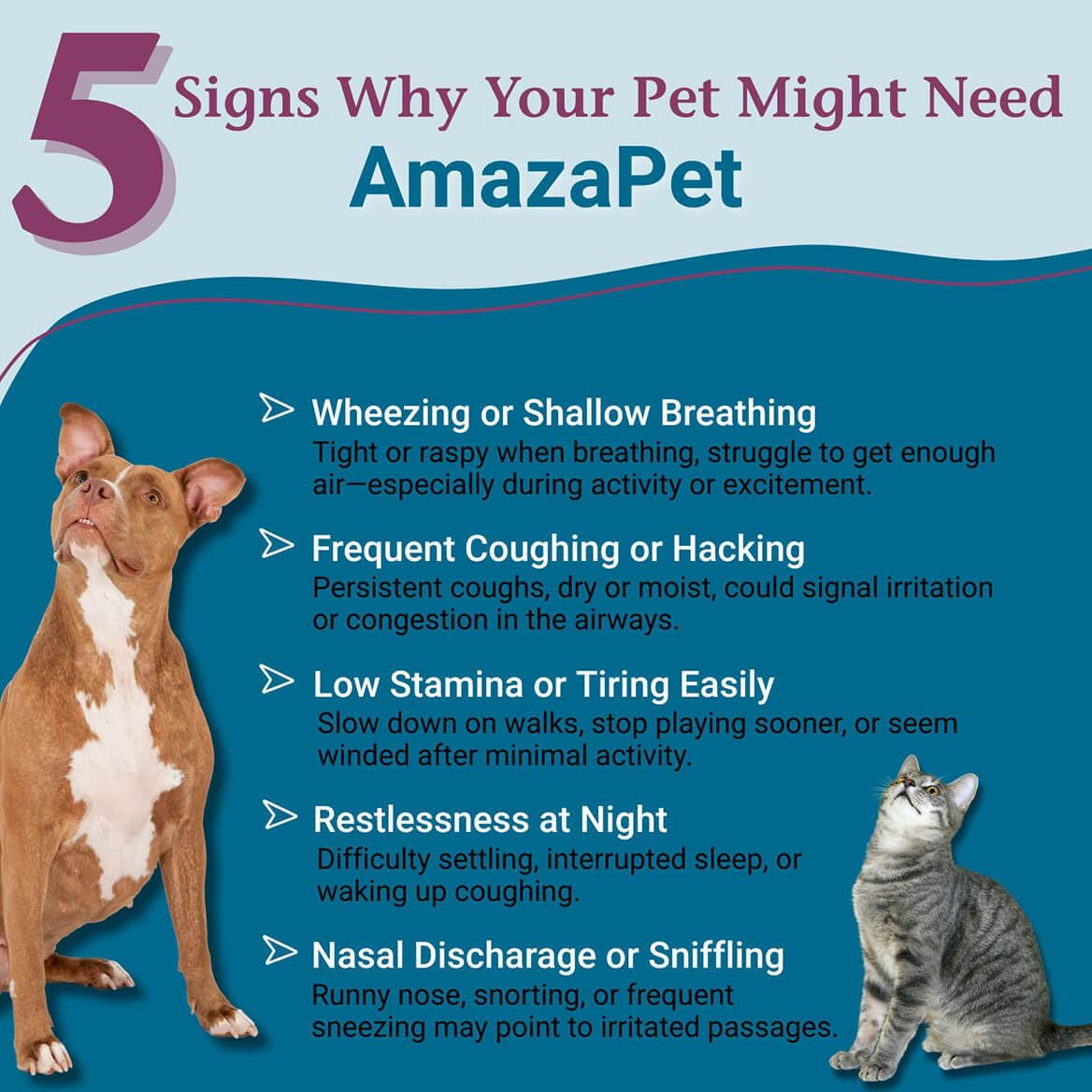 PetAlive AmazaPet tablets being dispensed for convenient dosing.