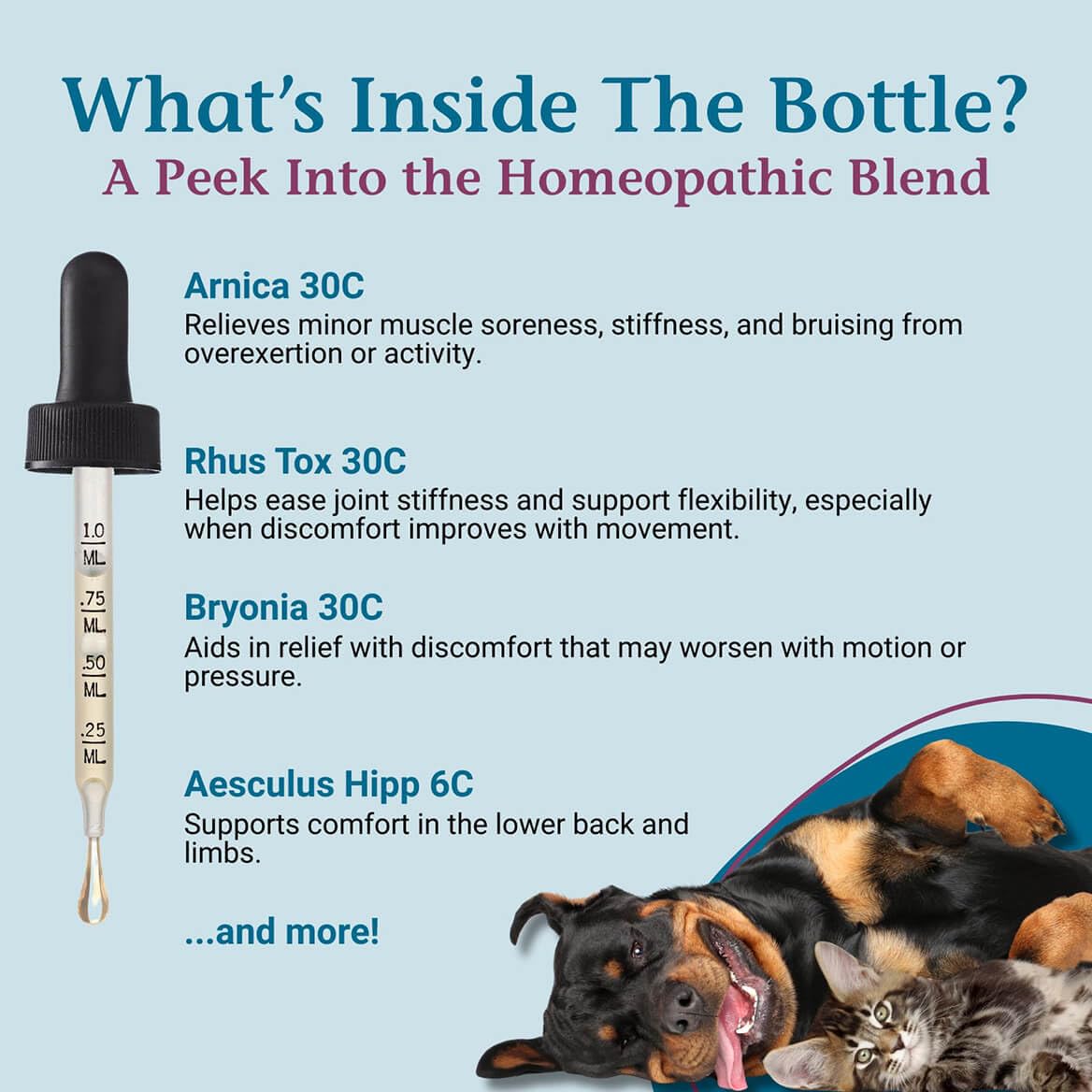 PetAlive ComfyPet Arnica-Bryonia label highlights natural mobility ingredients