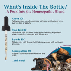 PetAlive ComfyPet Arnica-Bryonia label highlights natural mobility ingredients