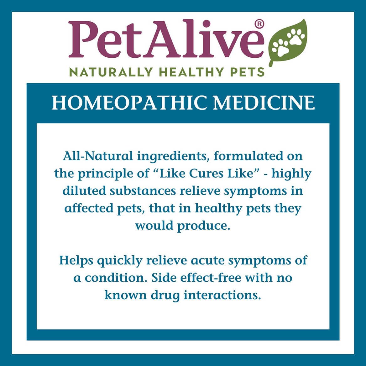 PetAlive ComfyPet dosing scene emphasizes alcohol-free formula for sensitive pets