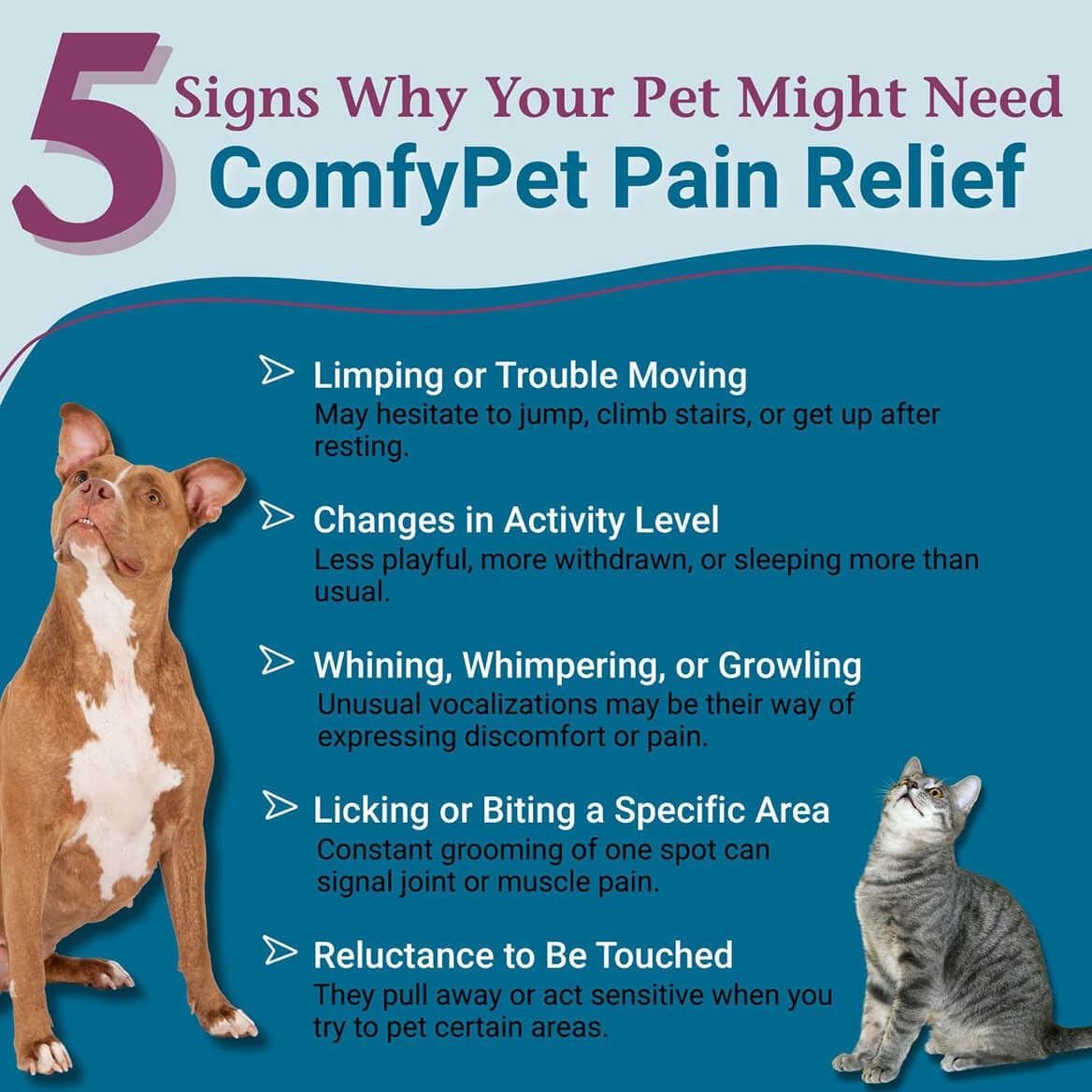 PetAlive ComfyPet pain relief drops close-up for easy dosing