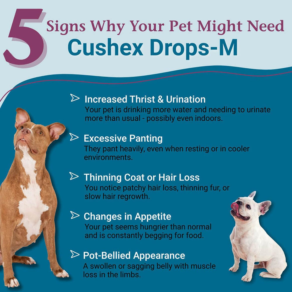 Cushex Drops-M for dogs and cats, highlighting digestive balance through homeopathic formula.