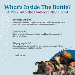 PetAlive Dog UTI granules being mixed with food for dogs.