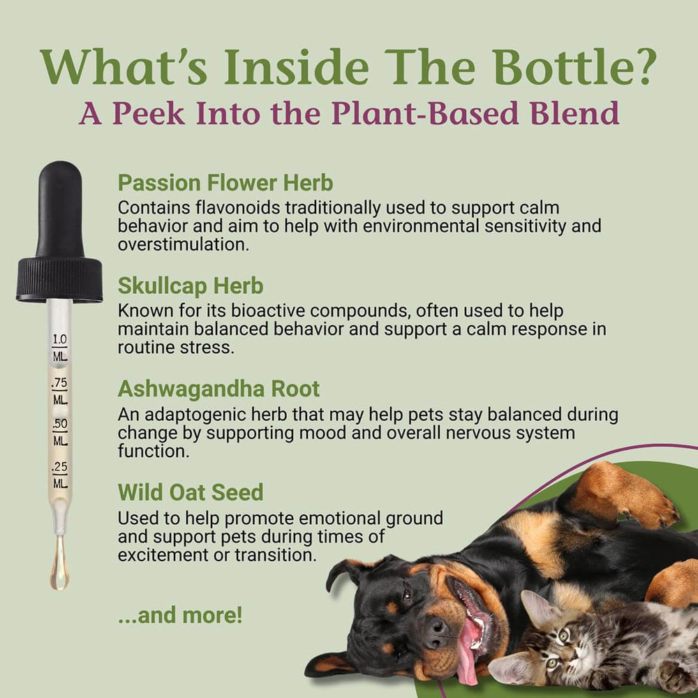 PetAlive EaseSure-S dropper applies drops for quick comfort