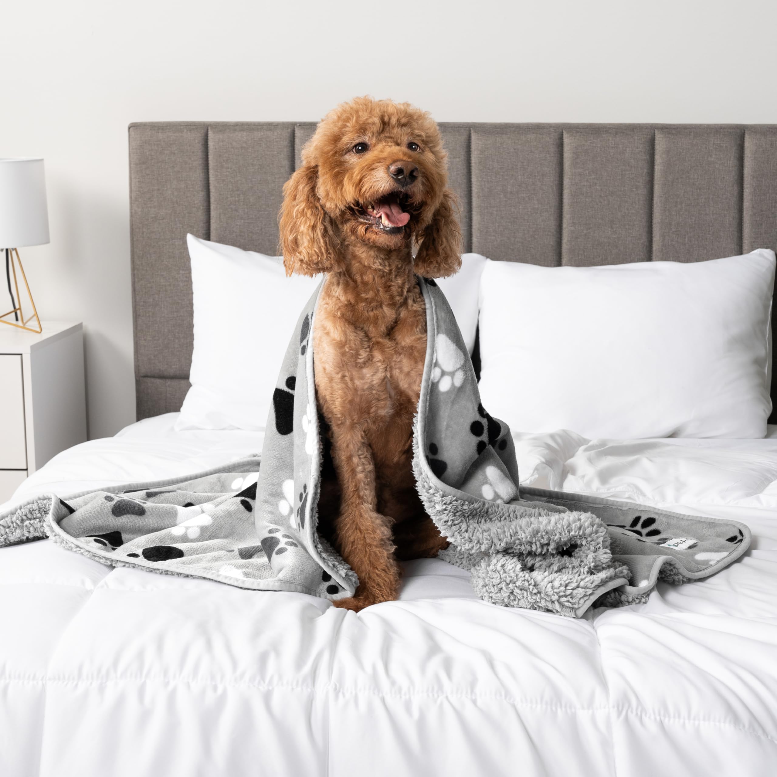 PetAmi 24x32 blanket travels well and protects furniture anywhere.