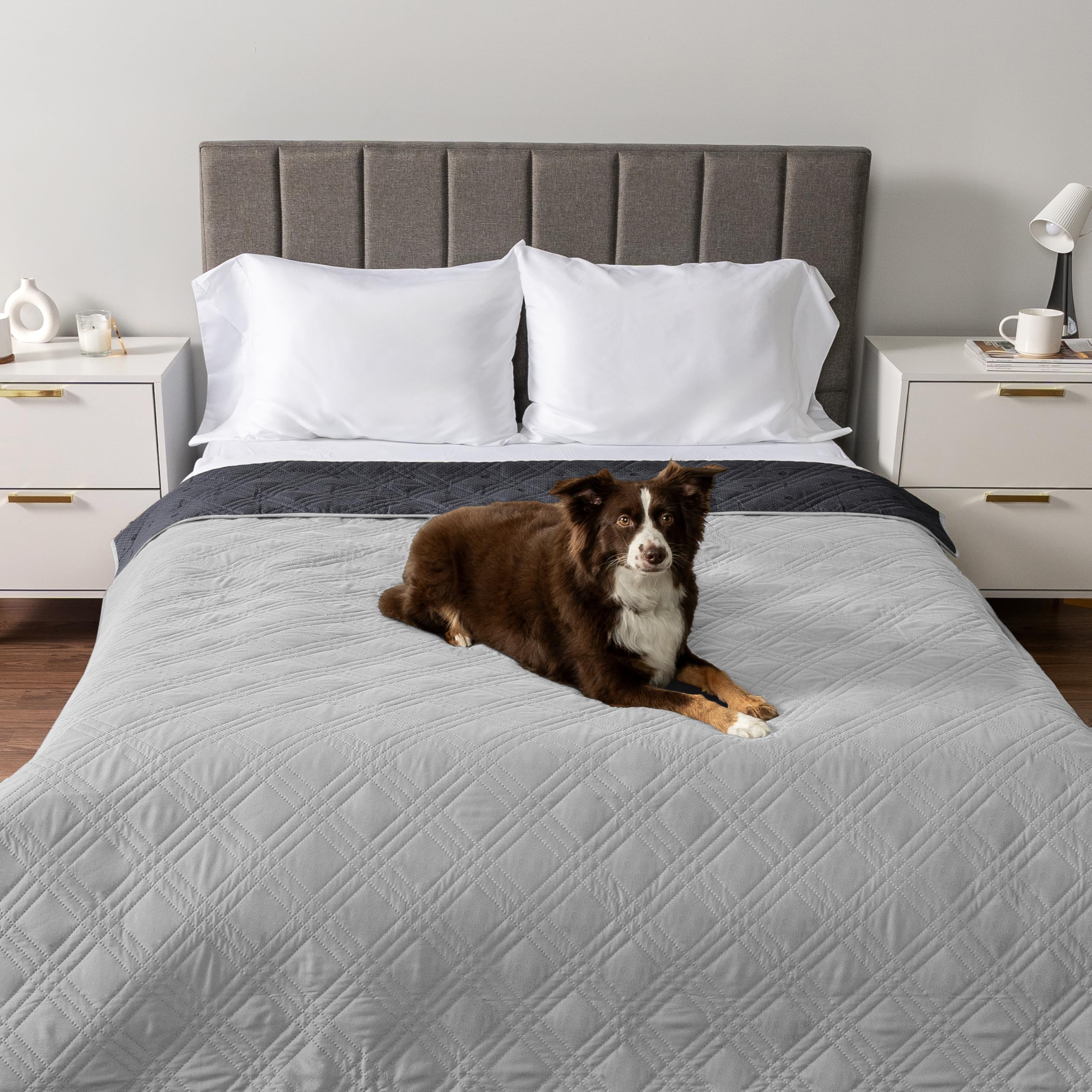 PetAmi four-layer leakproof quilt protects furniture from spills and accidents.