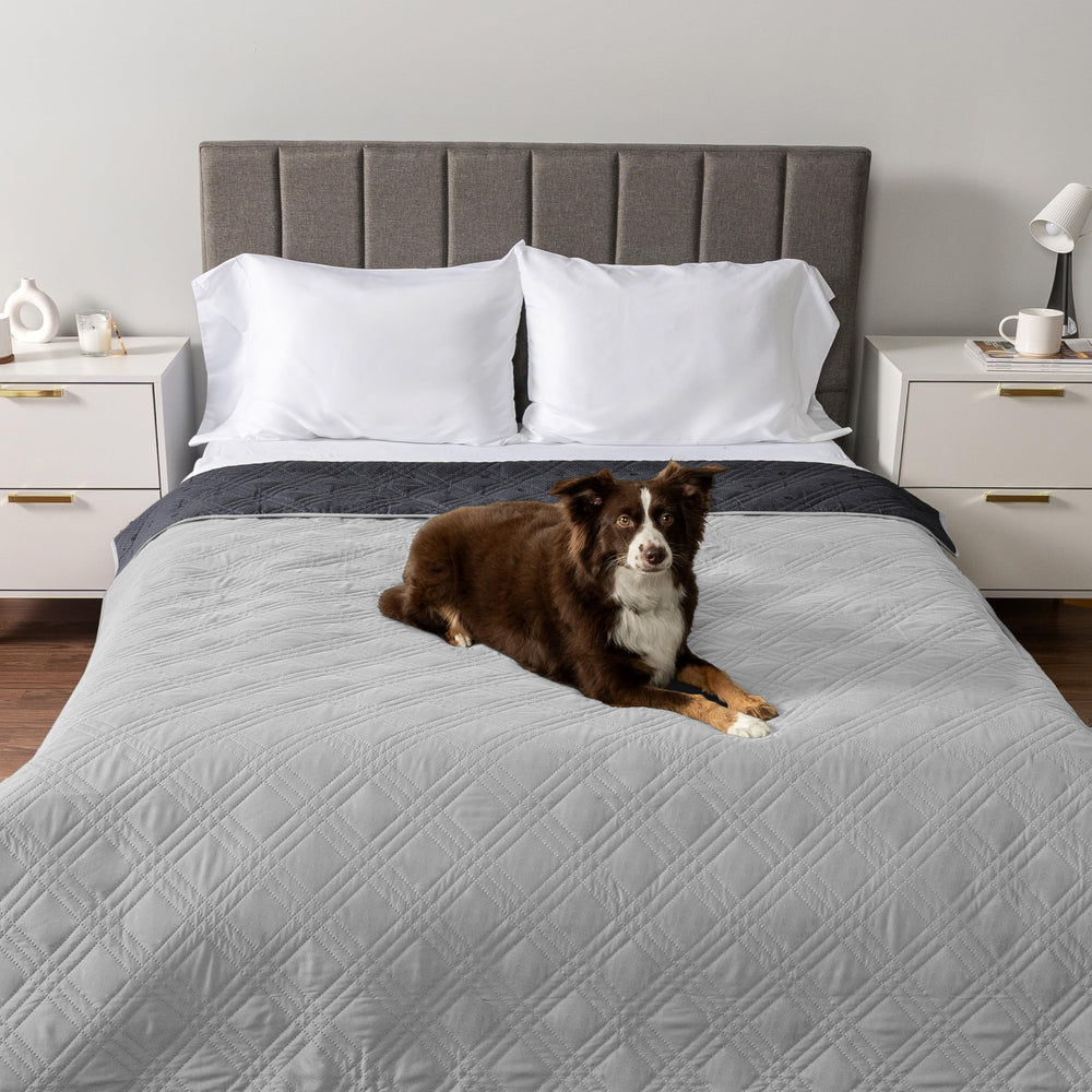 PetAmi four-layer leakproof quilt protects furniture from spills and accidents.