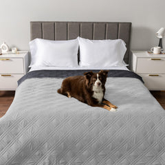 PetAmi four-layer leakproof quilt protects furniture from spills and accidents.