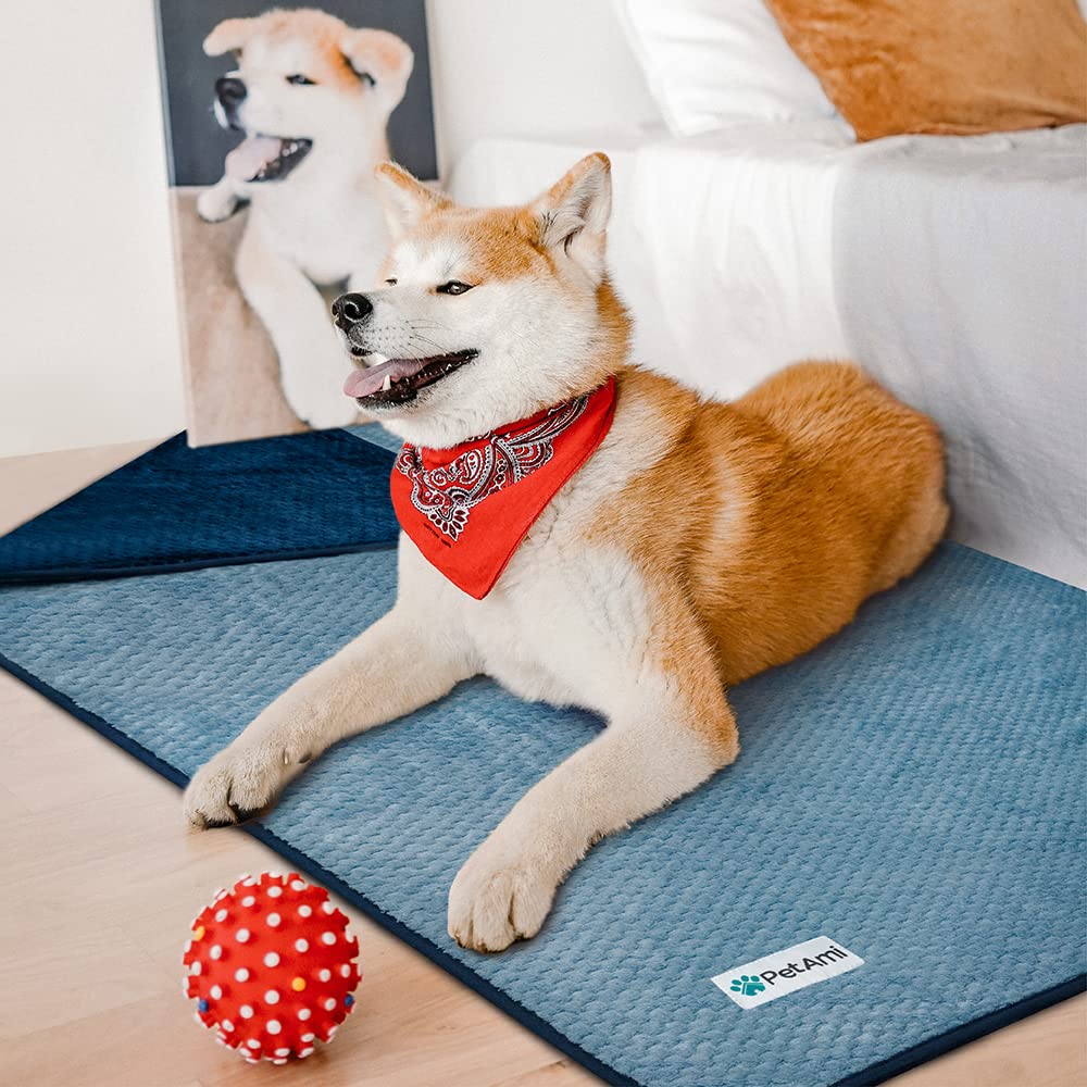 PetAmi 40x60 blanket suited for car rides with medium dogs
