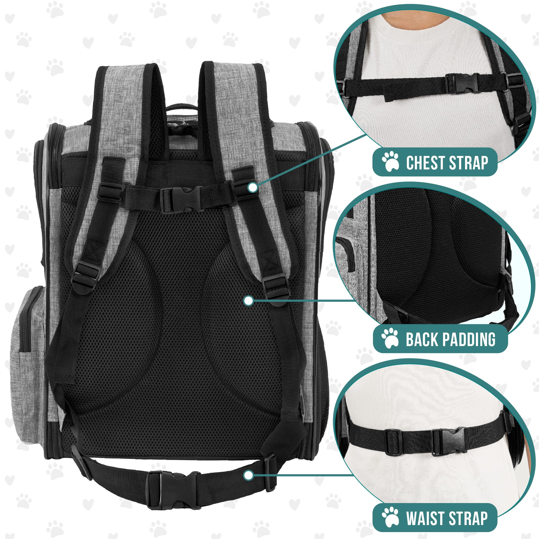 PetAmi airline-approved pet backpack supports safe airport travel