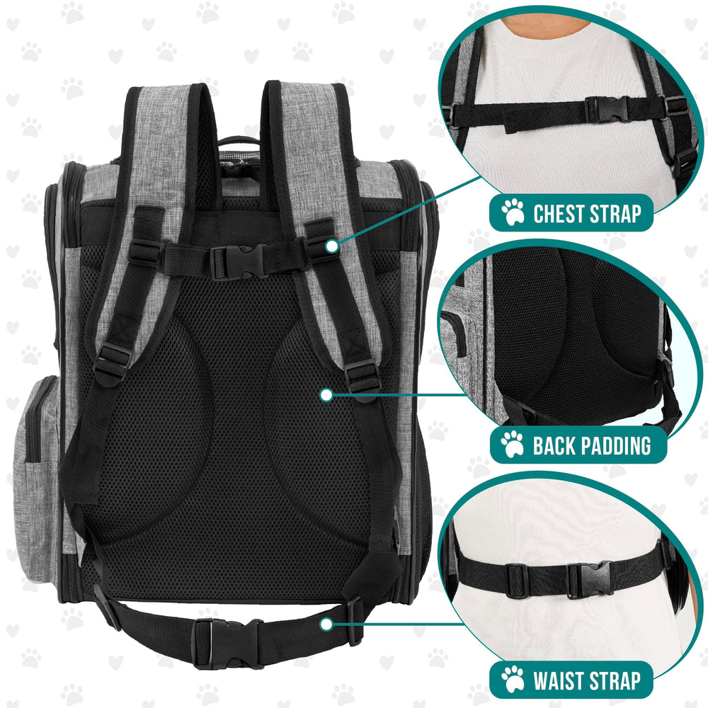 PetAmi airline-approved pet backpack supports safe airport travel