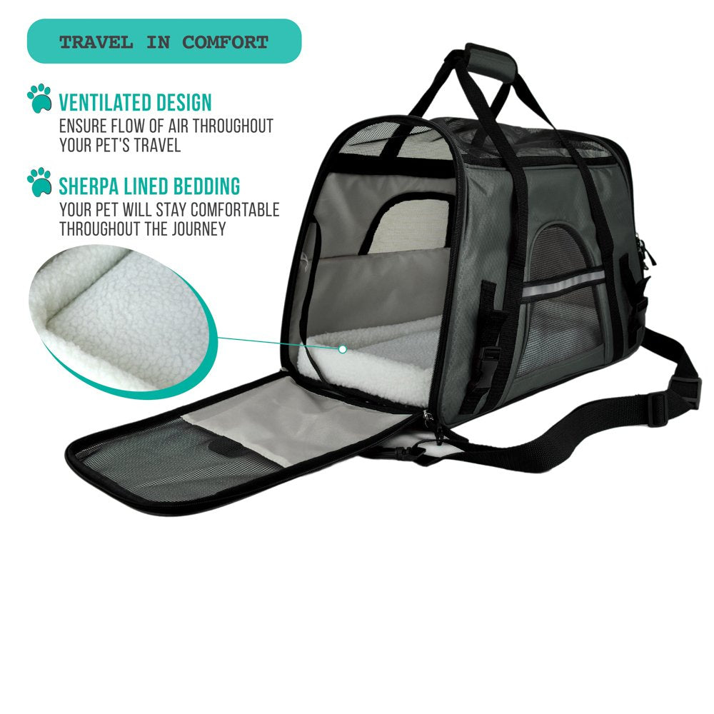 PetAmi safety buckles and harness strap for secure travel