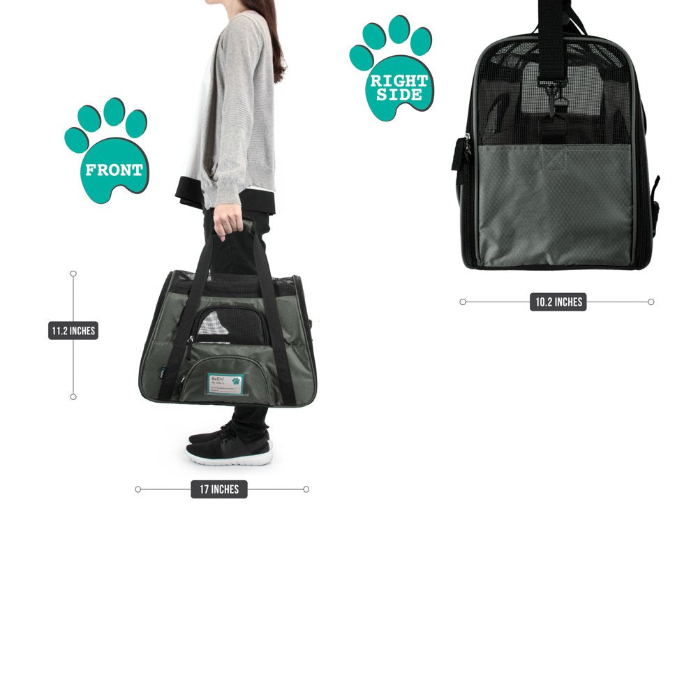 PetAmi airline approved carrier with ventilated mesh for airflow
