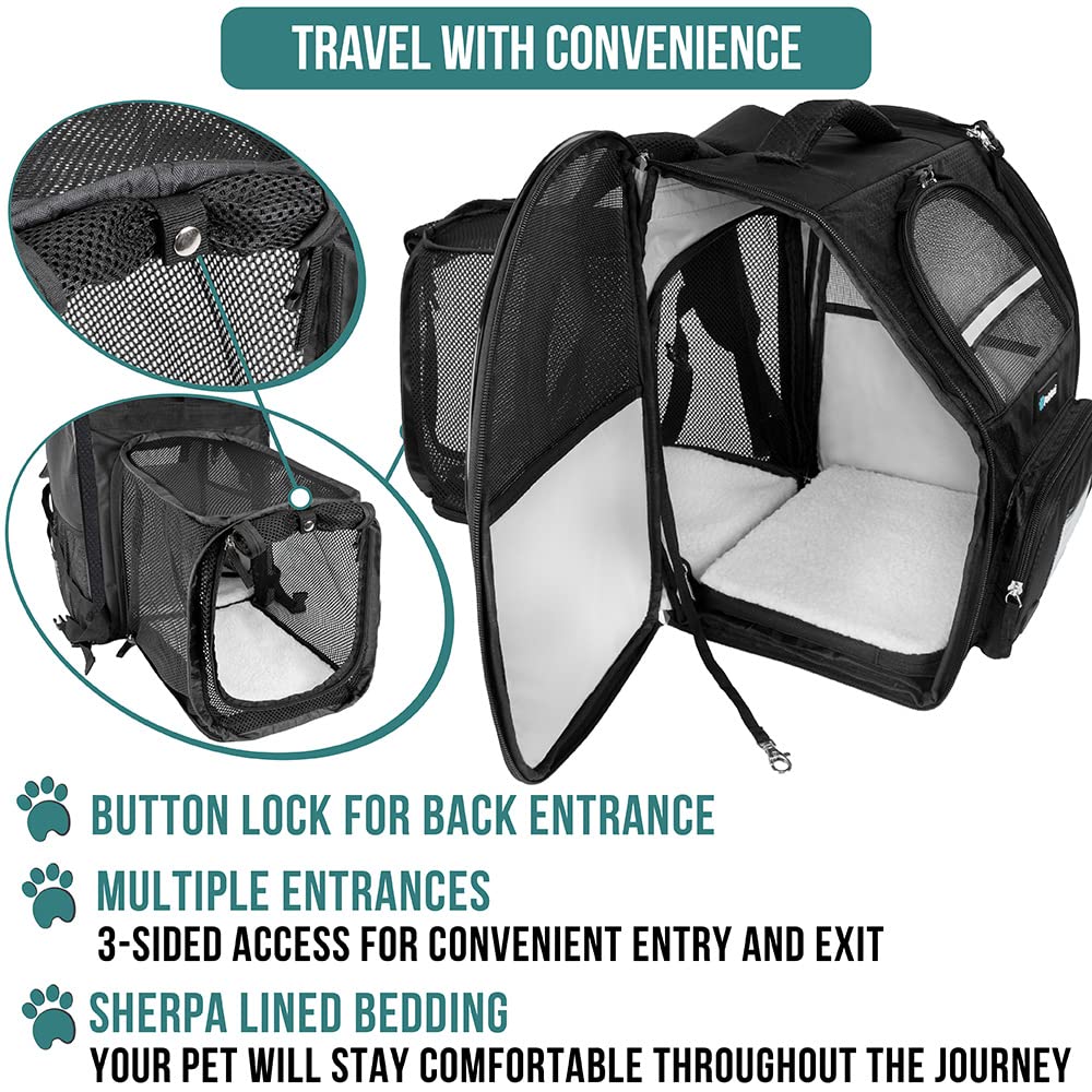 PetAmi backpack carrier reinforced structure maintaining shape during travel