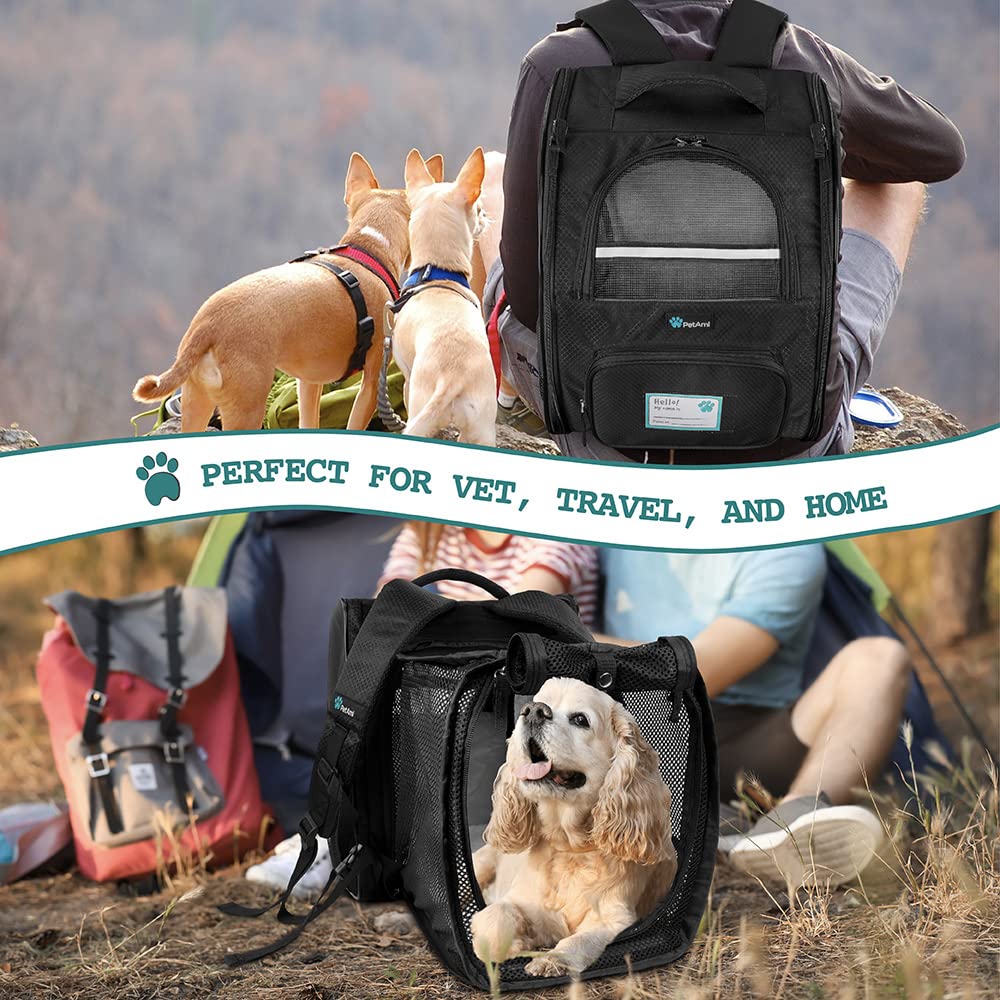 PetAmi backpack carrier size dimensions 12.5x10.2x16.3 guide fit