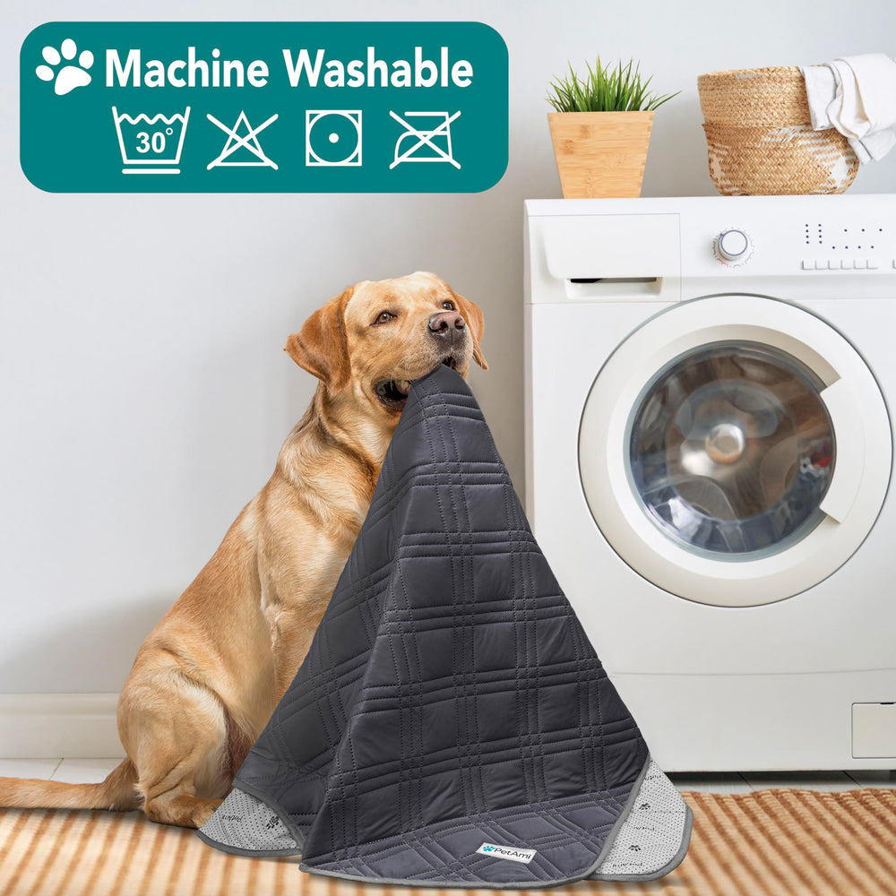 PetAmi car blanket cooling pad improves road trip comfort for pets
