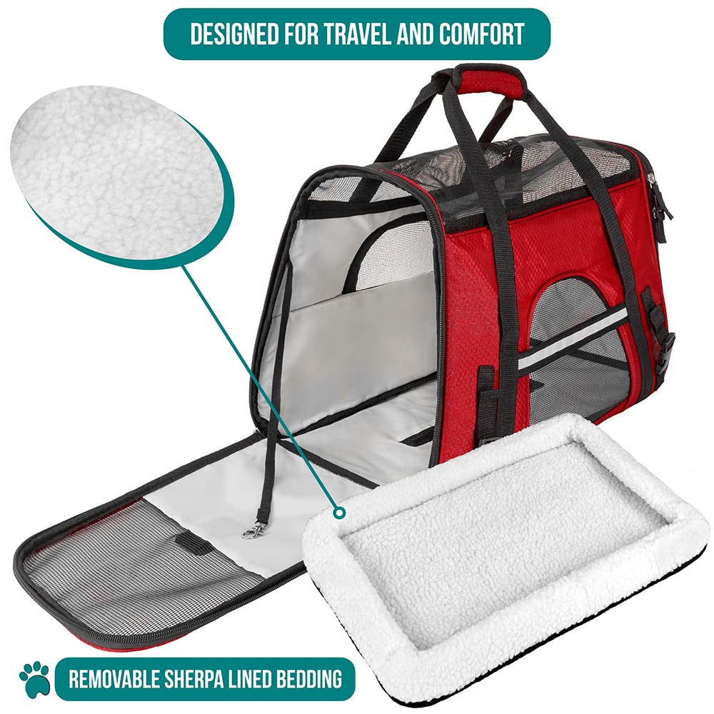 PetAmi carrier with reflective trim for visibility in low light