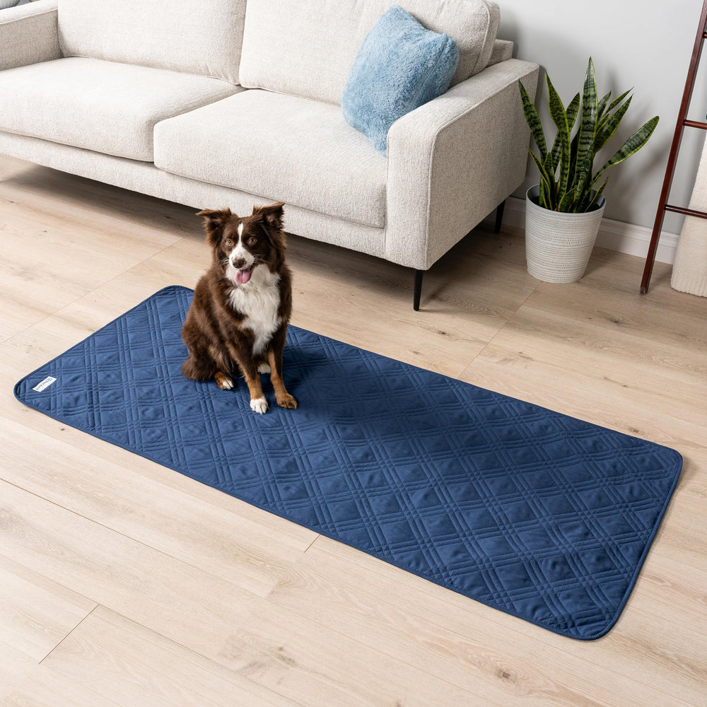 PetAmi cobertor lavable para perros mantiene limpio el sofá tras salidas