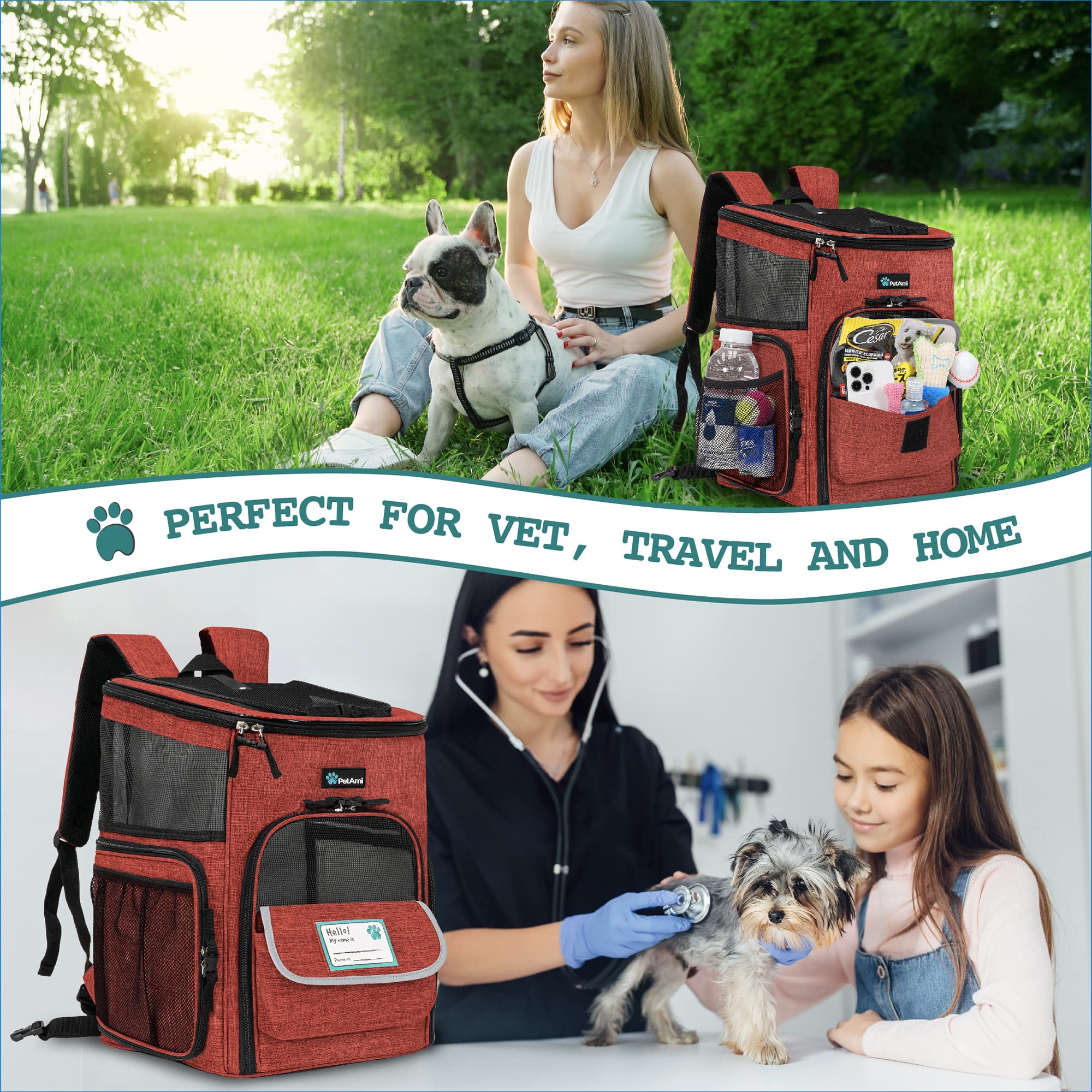 PetAmi collapsible bowl and ID tag for on-the-go care