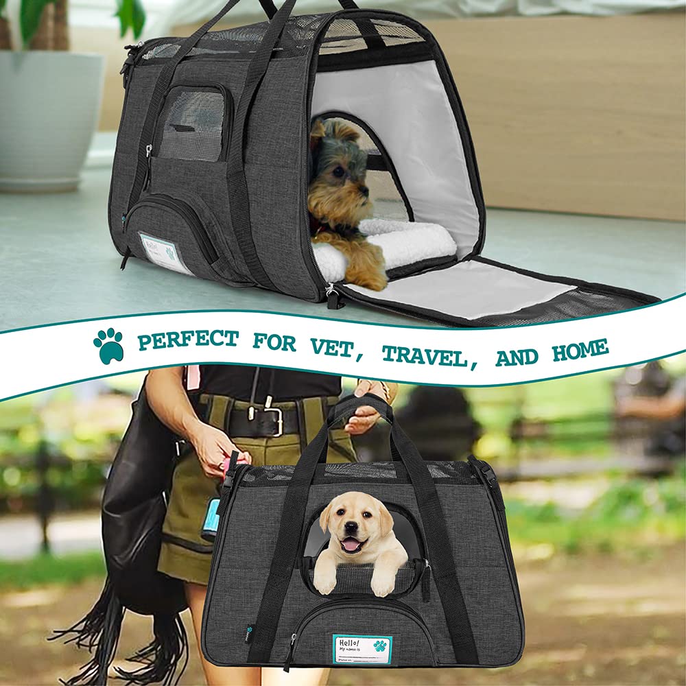 PetAmi included collapsible silicone bowl supports pet hydration on journeys.