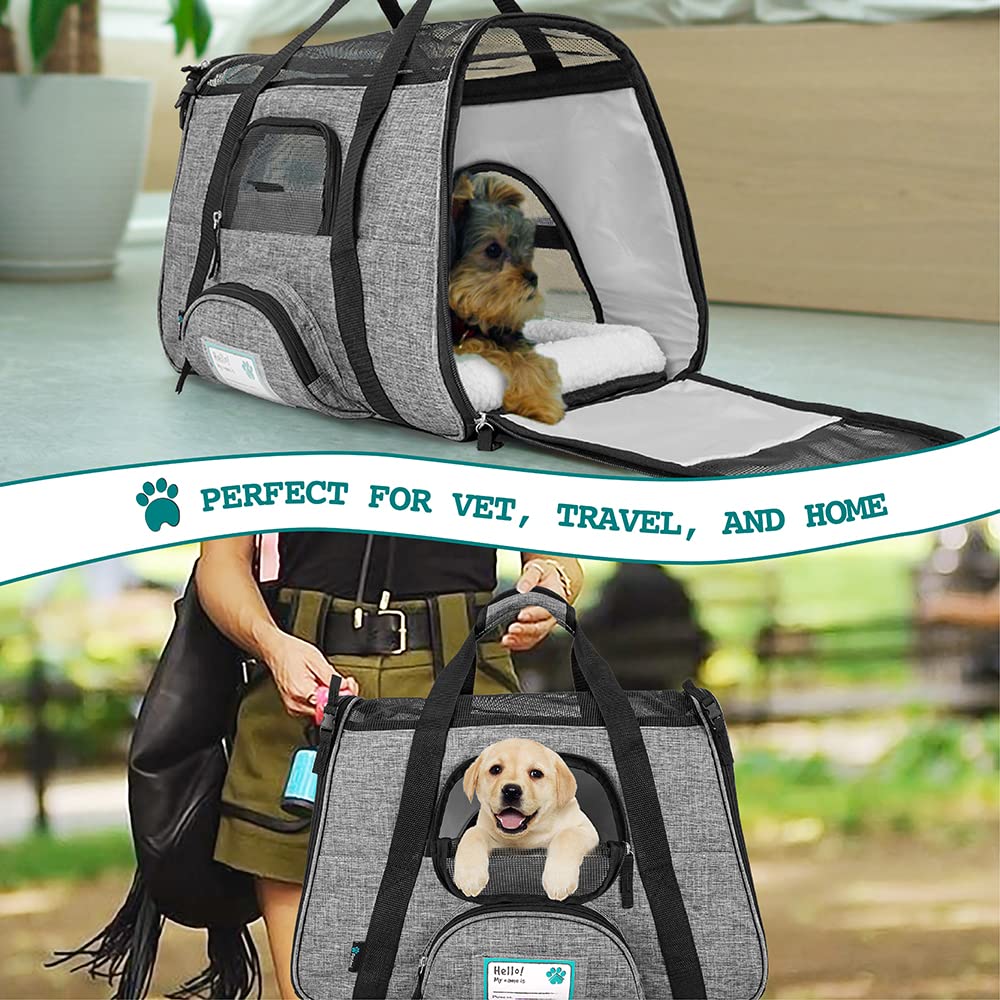 PetAmi collapsible dog bowl included for quick hydration on trips.