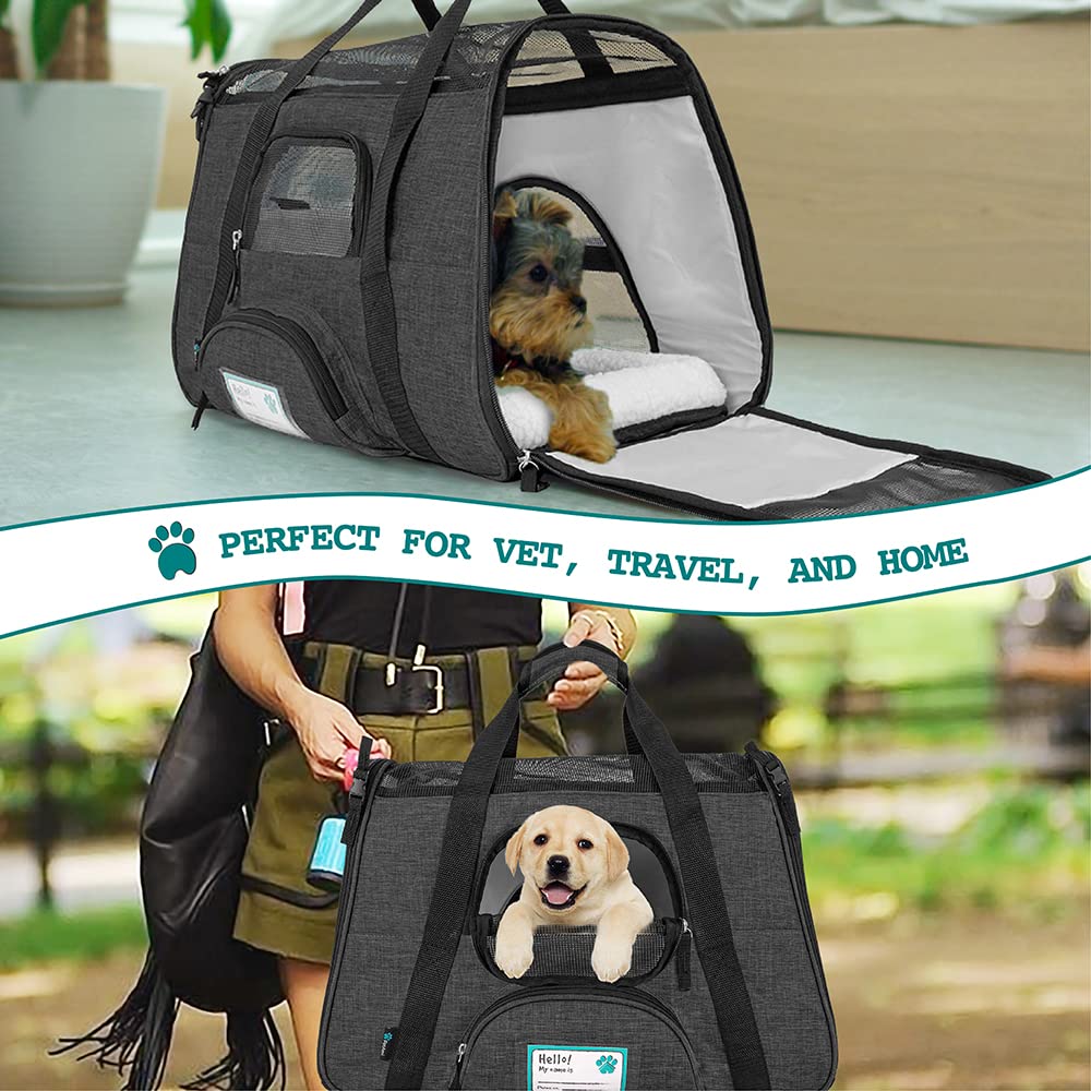 PetAmi collapsible silicone bowl included for pet hydration.
