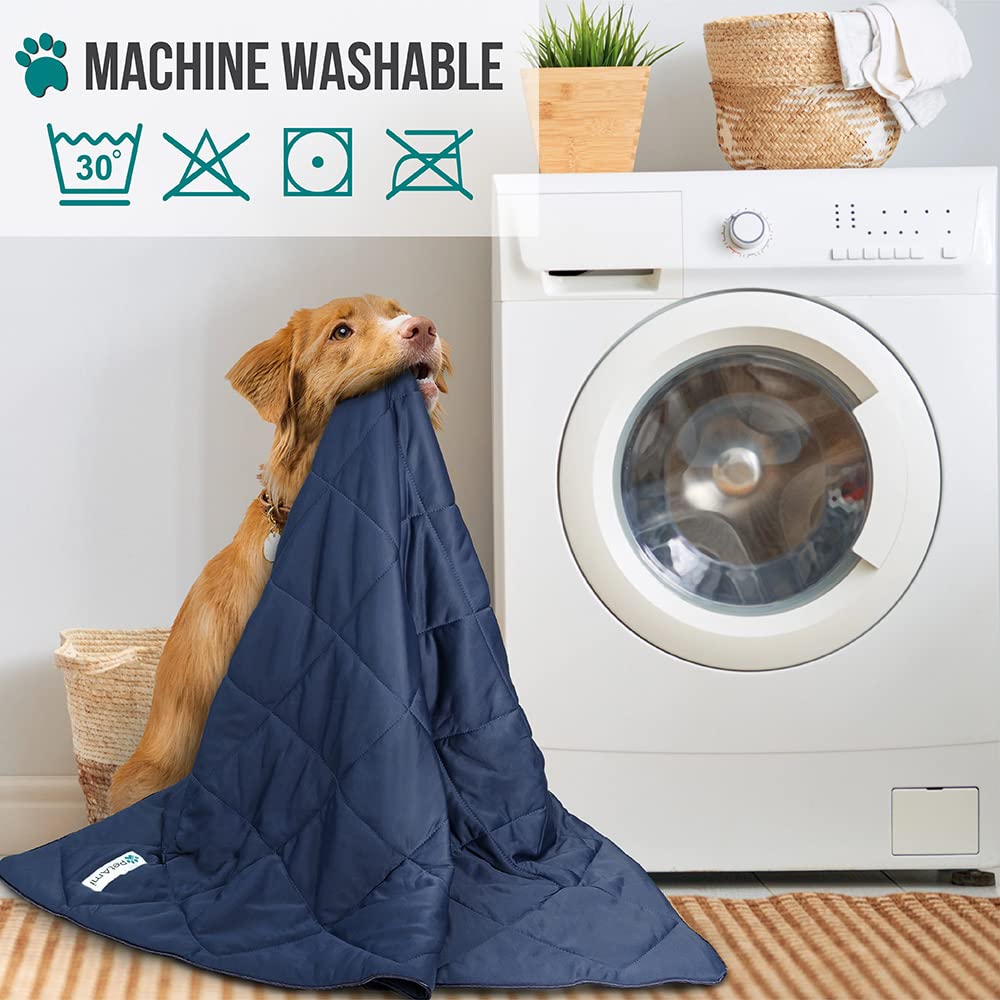 PetAmi cooling blanket car-blanket setup illustrates easy travel protection for pets.