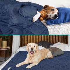 PetAmi cooling blanket on sofa protects furniture from fur and scratches.