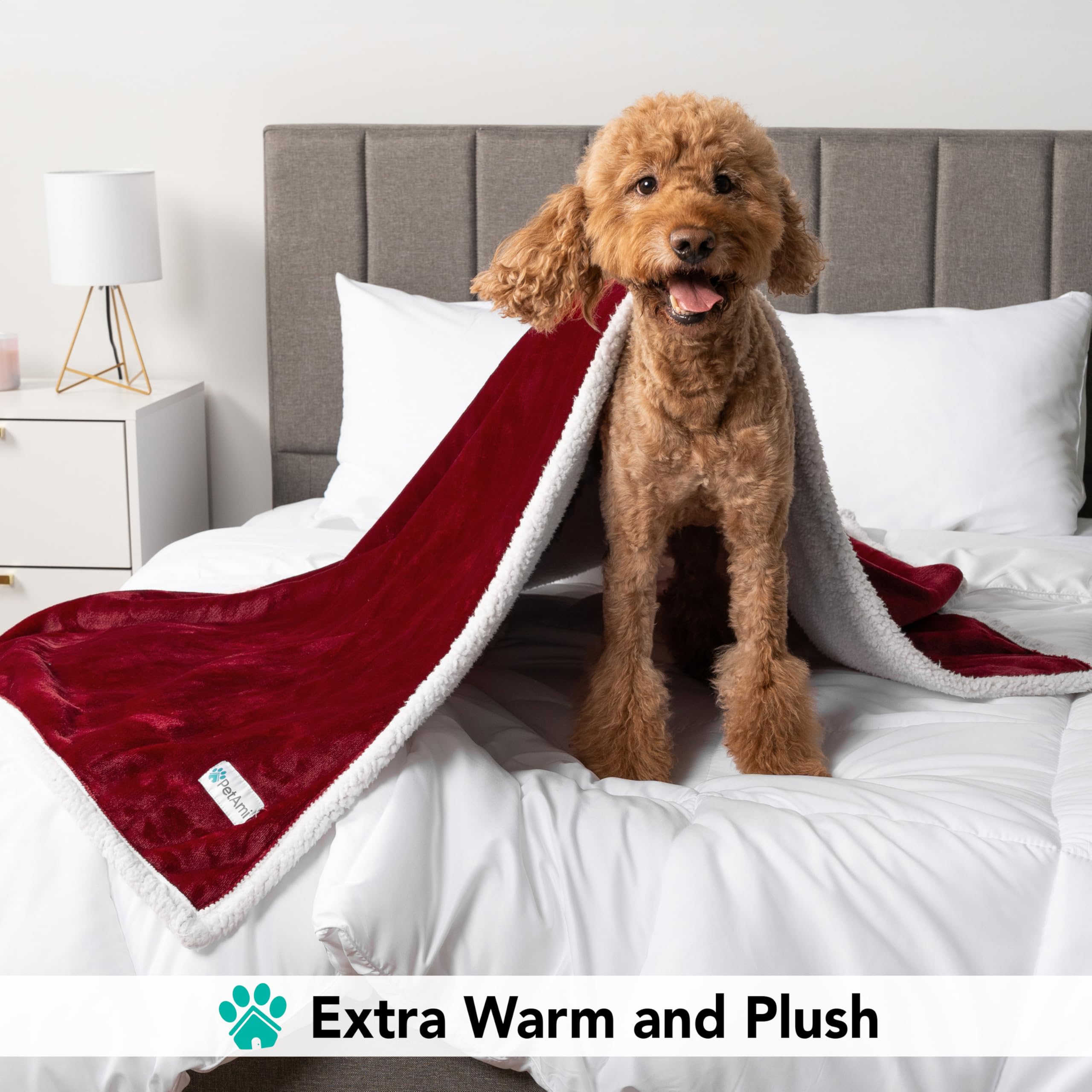 PetAmi dog blanket maroon 40x60 folded demonstrates compact, portable warmth.