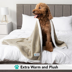 PetAmi dog blanket reversible-fleece displays dual-sided warmth and texture