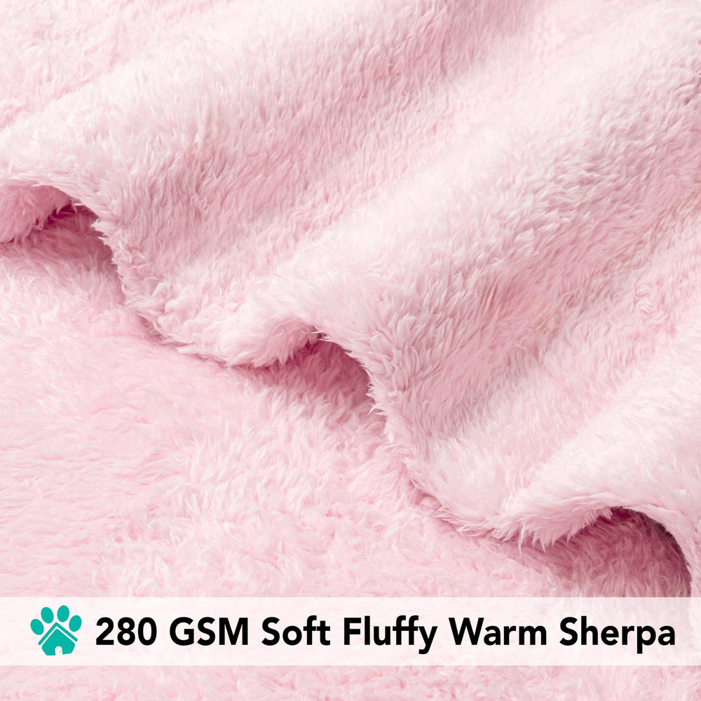 PetAmi dog-cat snuggle on sofa demonstrates sofa protection and comfort.