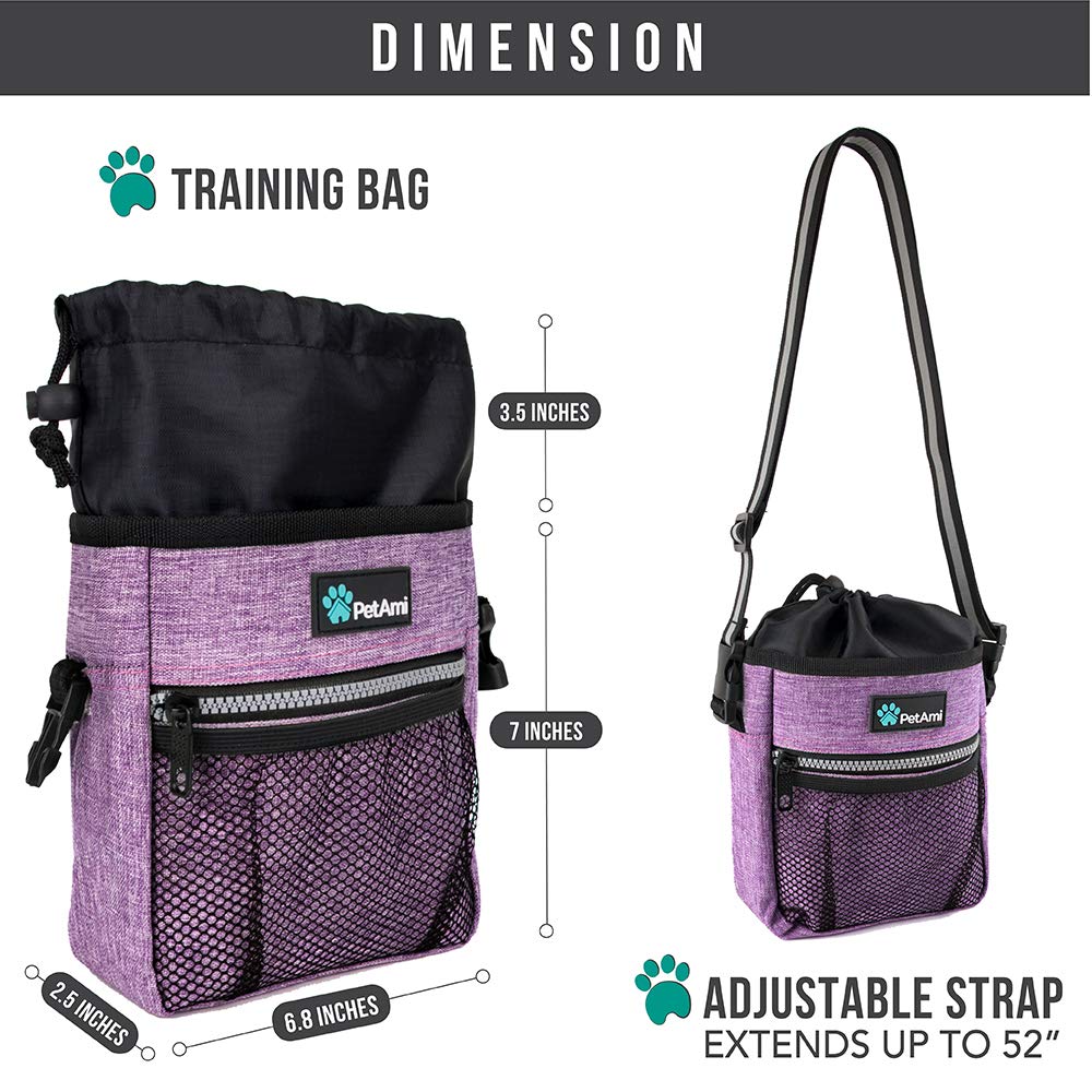 PetAmi reflective strap enhances safety during night dog walks.