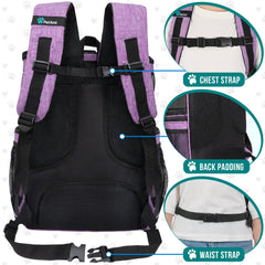 PetAmi four-way entry with zippered mesh windows for easy access.